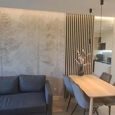 Belle View 104 Apartament Szklarska Poręba